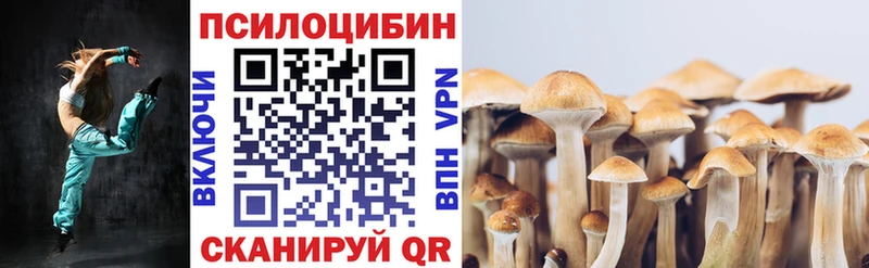 Галлюциногенные грибы GOLDEN TEACHER  купить   Лесной 